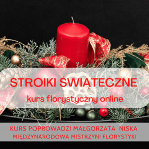 STROIKI KURS ONLINE 1