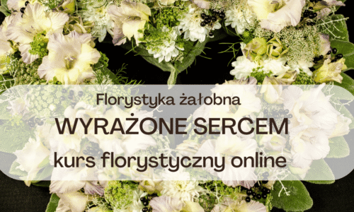 szkic kursu