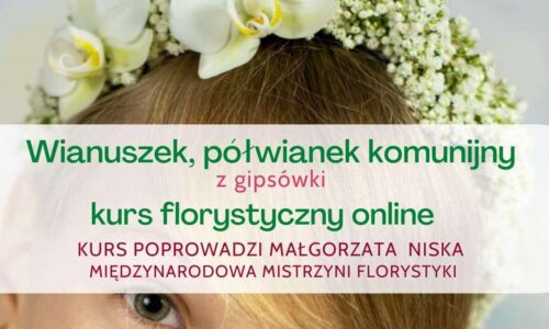 szkic kursu