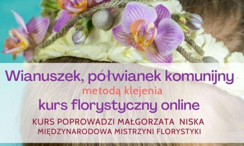 szkic kursu