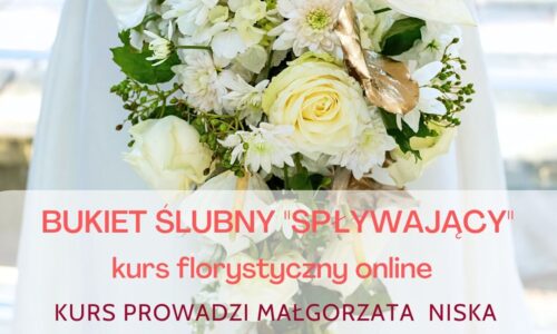 szkic kursu