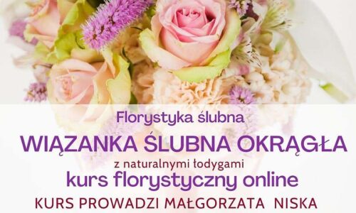szkic kursu