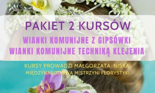 szkic kursu