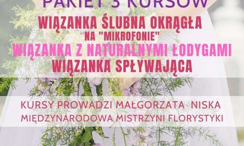 szkic kursu