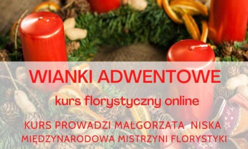 szkic kursu