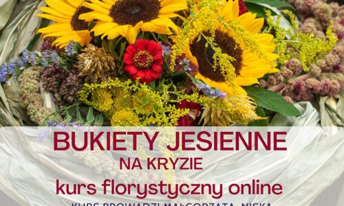 szkic kursu