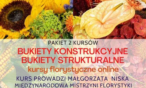 szkic kursu