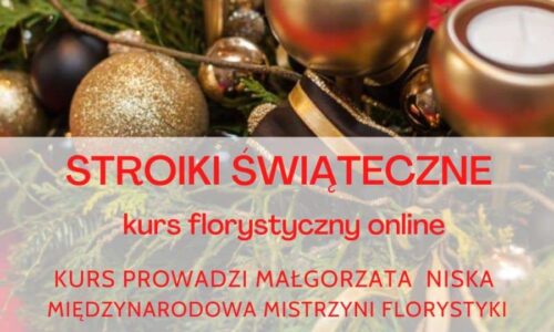 szkic kursu
