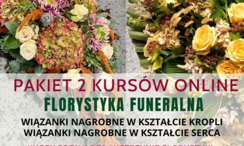 szkic kursu