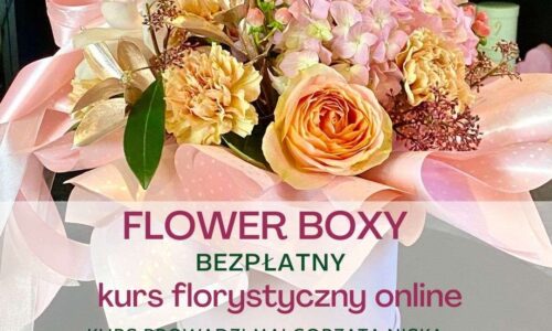 Flowerboxy – kurs florystyczny online